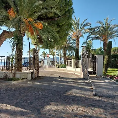 Ocean View Royal Palm