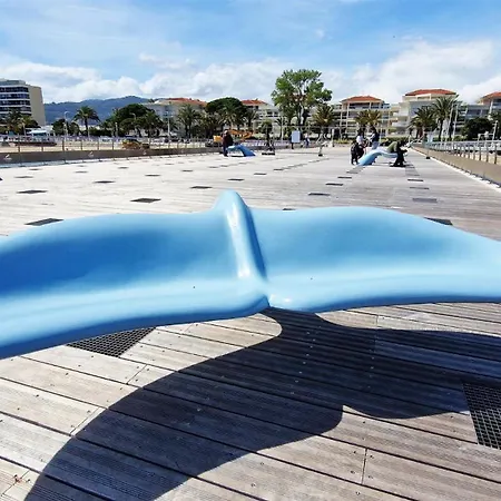 Ocean View Royal Palm *