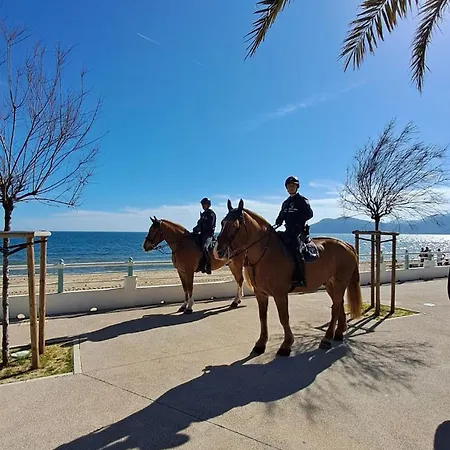 Ocean View Royal Palm