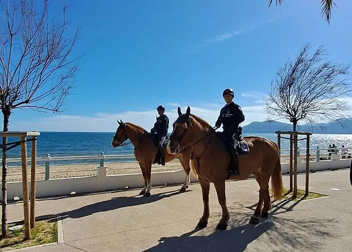 Ocean View Royal Palm